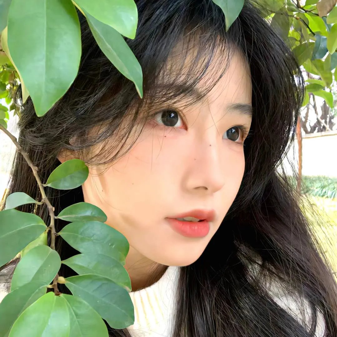 名媛双胞案